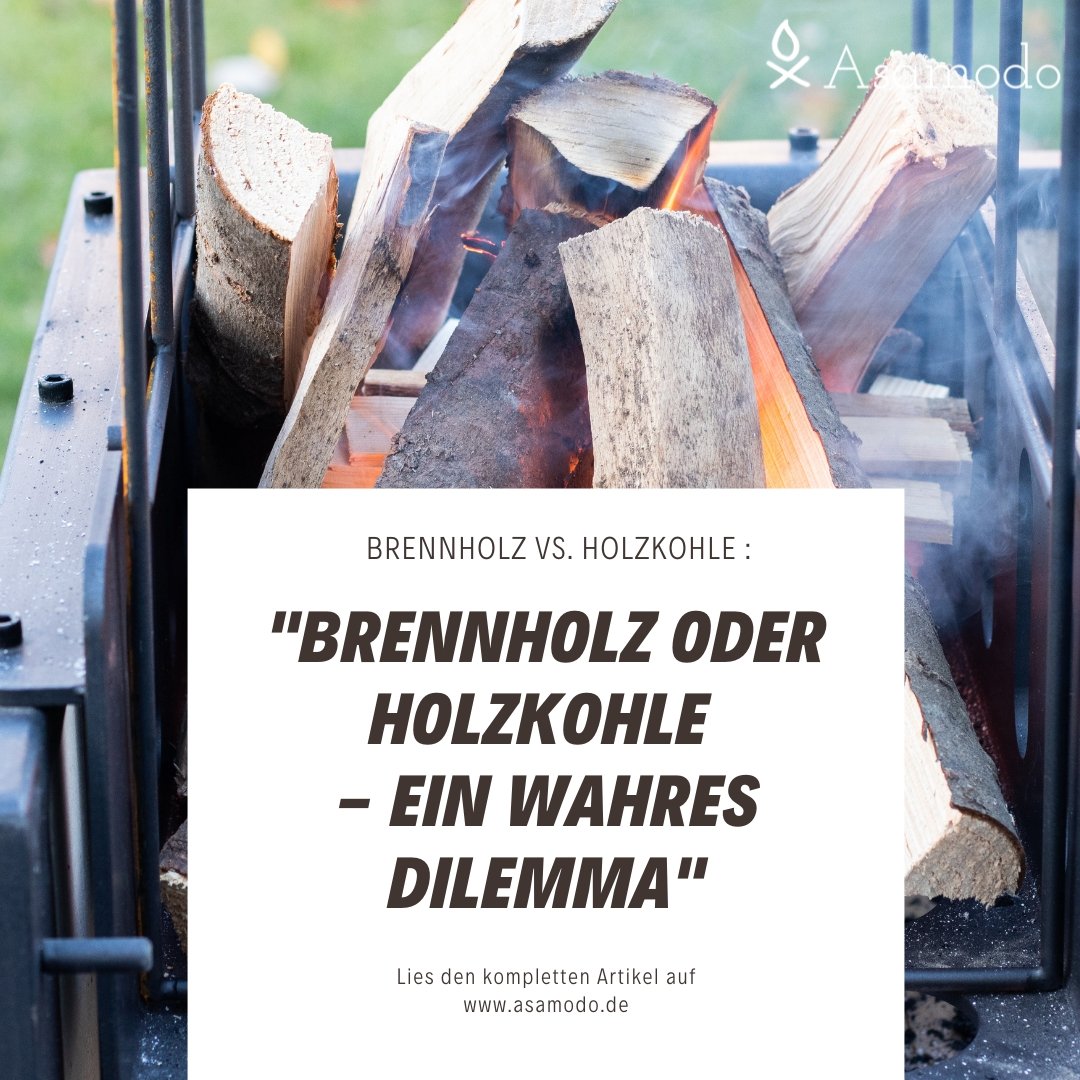 Brennholz vs Holzkohle - Asamodo