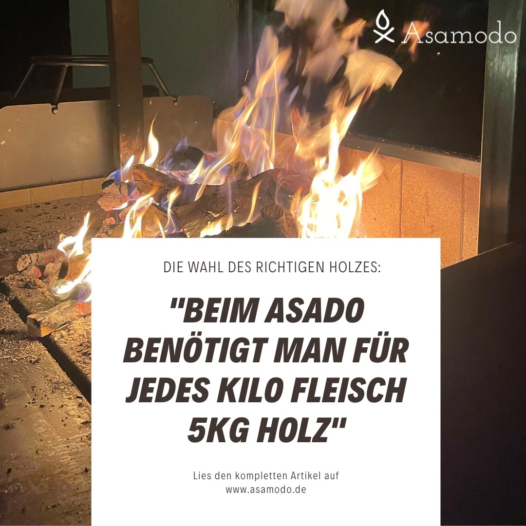 Die Wahl des richtigen Holzes - Asamodo